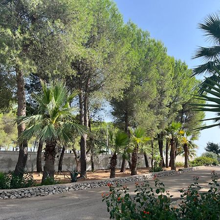 Casette Masseria La Camardia Sava Εξωτερικό φωτογραφία