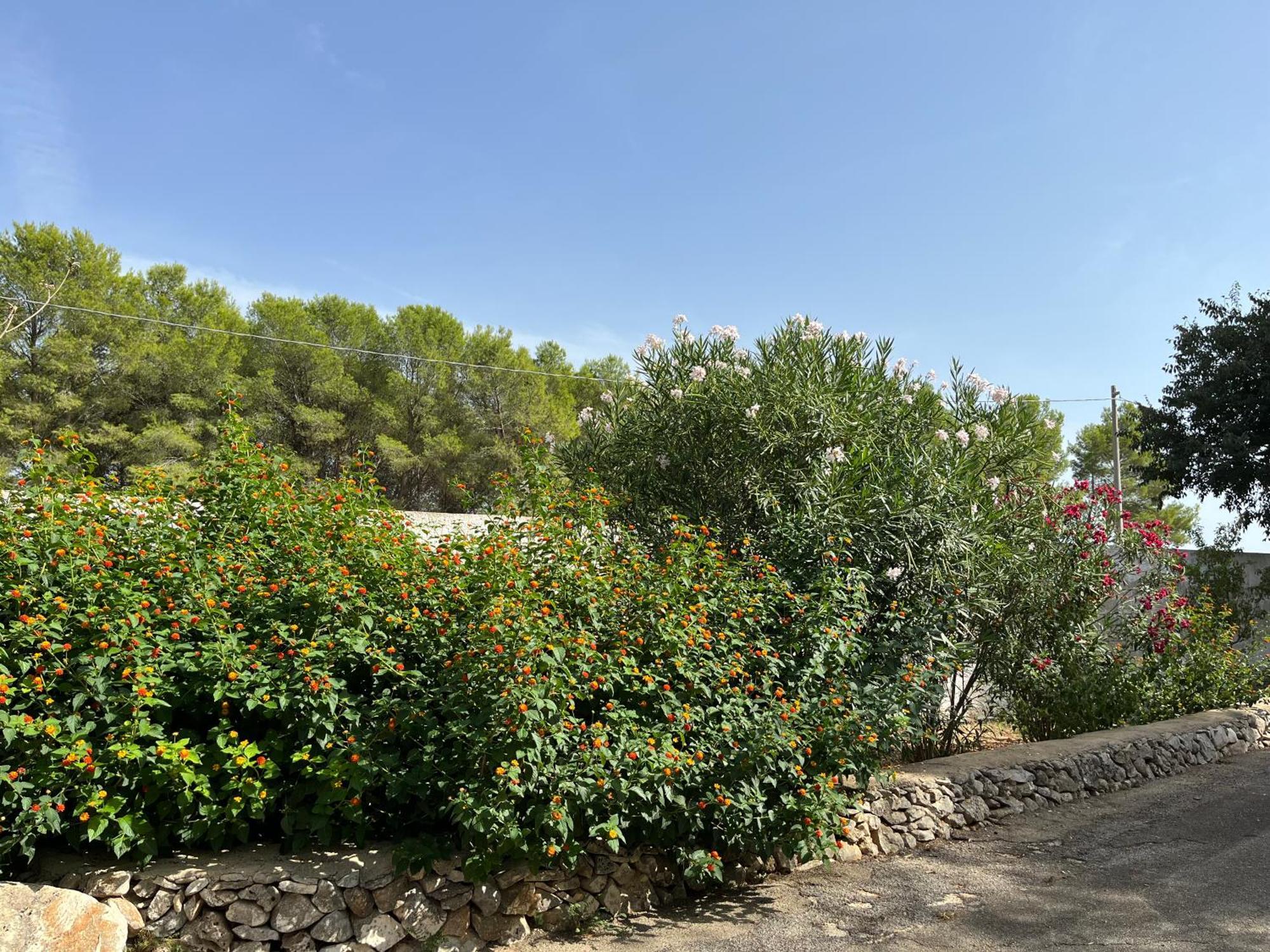 Casette Masseria La Camardia Sava Εξωτερικό φωτογραφία