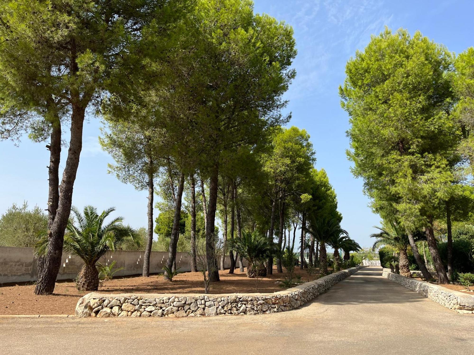 Casette Masseria La Camardia Sava Εξωτερικό φωτογραφία