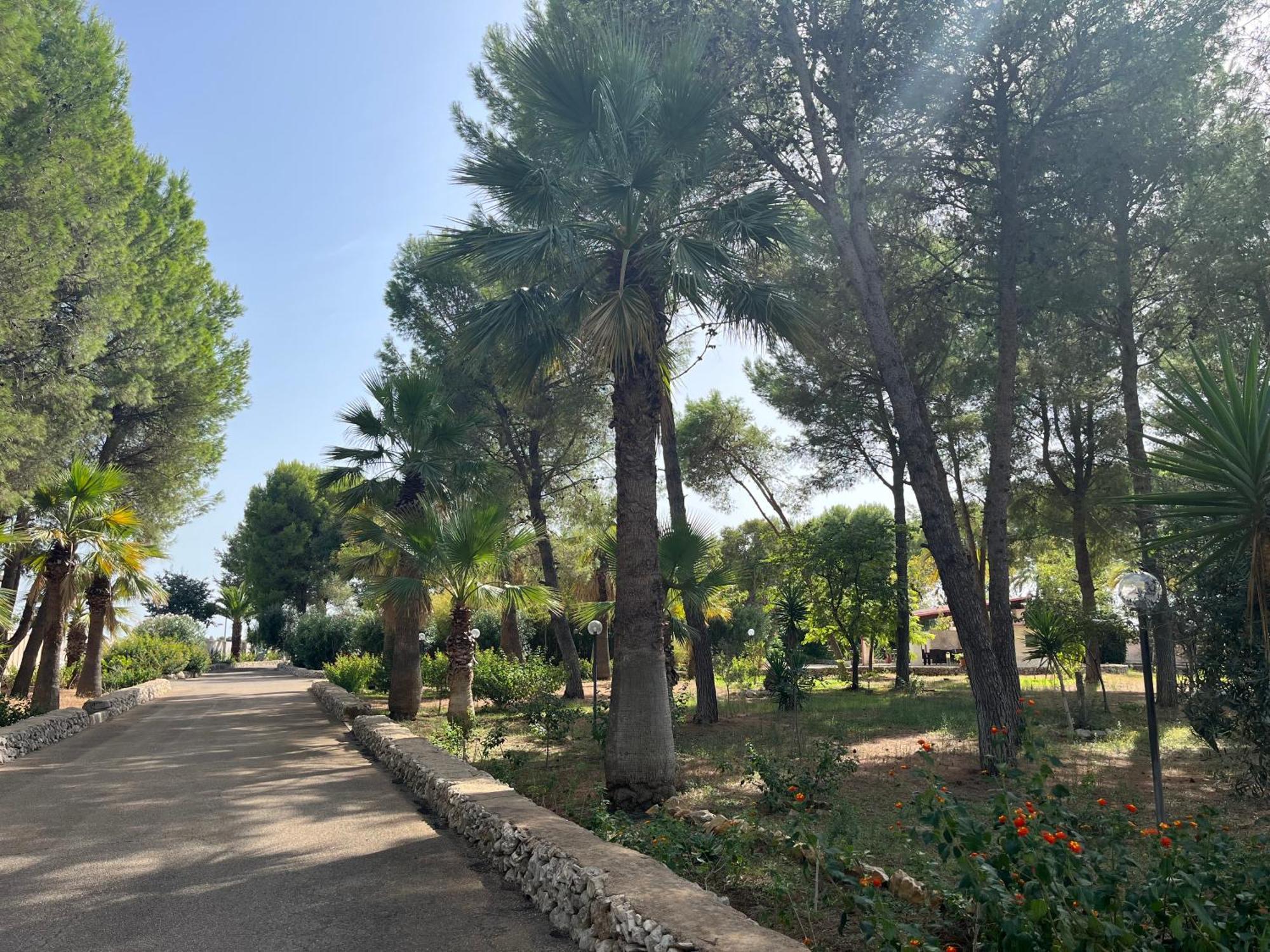 Casette Masseria La Camardia Sava Εξωτερικό φωτογραφία