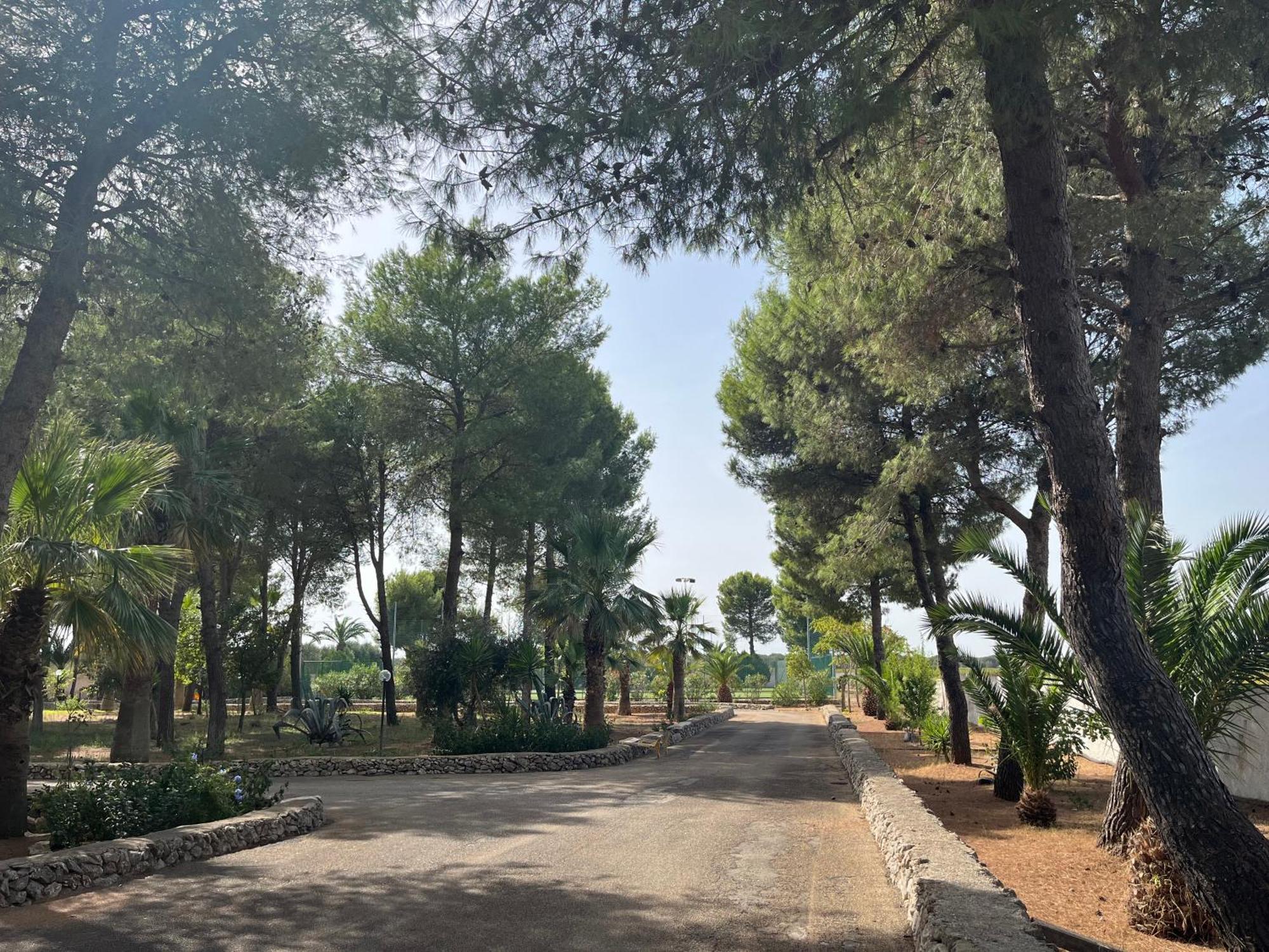 Casette Masseria La Camardia Sava Εξωτερικό φωτογραφία