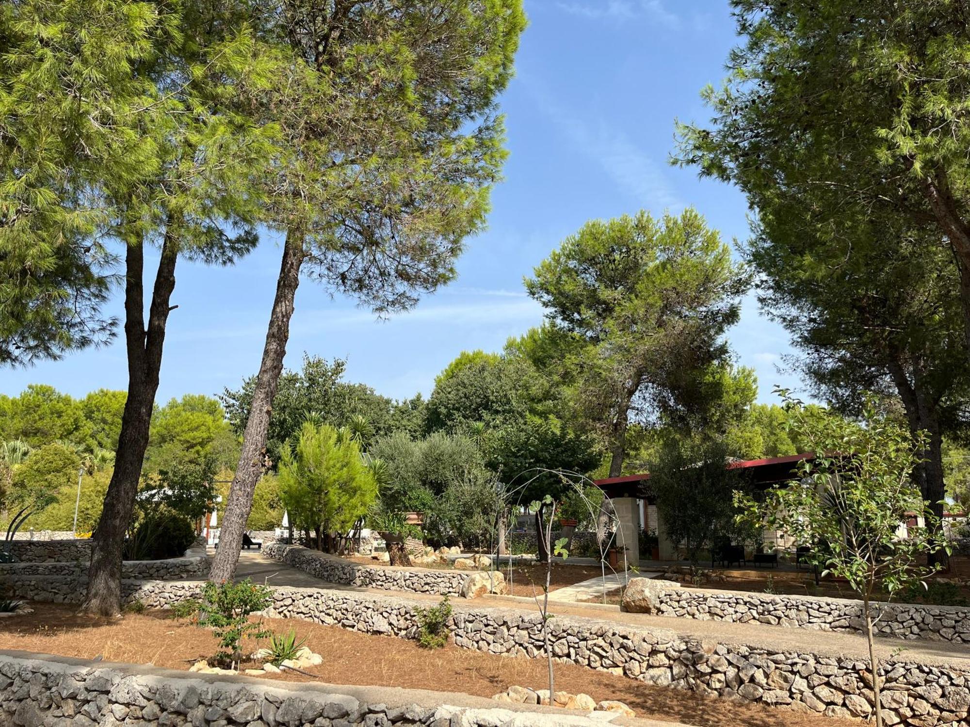 Casette Masseria La Camardia Sava Εξωτερικό φωτογραφία