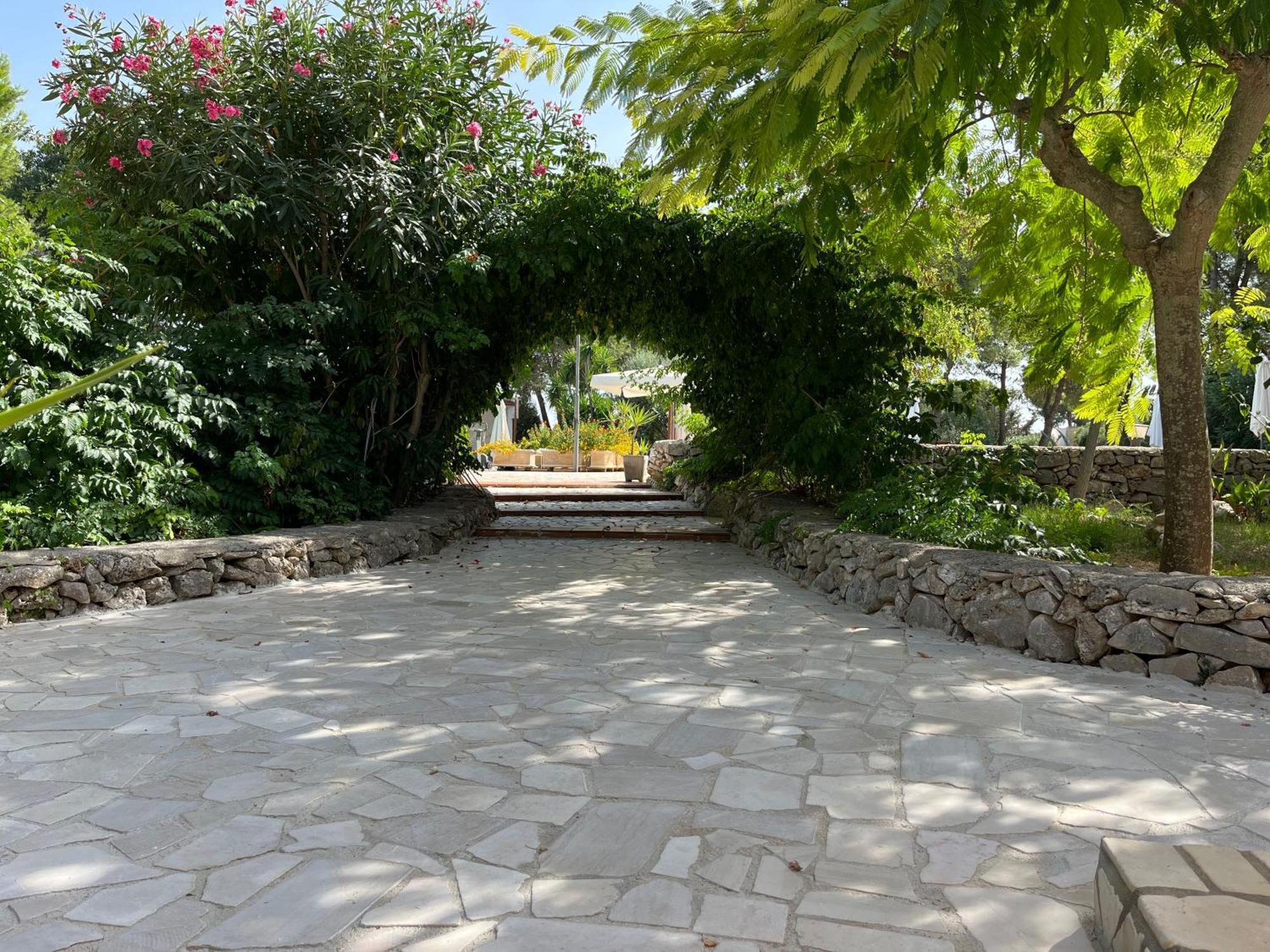 Casette Masseria La Camardia Sava Εξωτερικό φωτογραφία