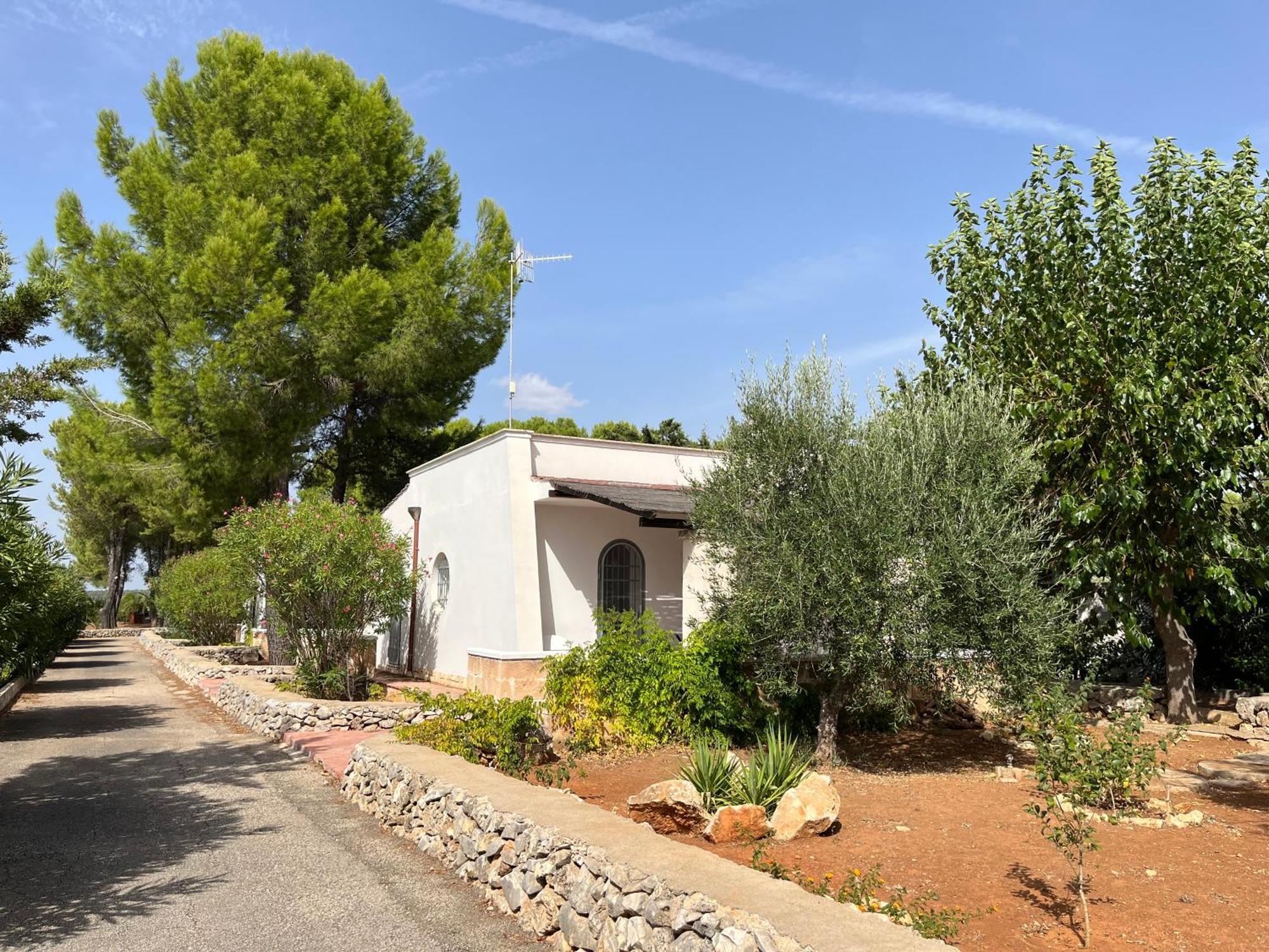 Casette Masseria La Camardia Sava Εξωτερικό φωτογραφία