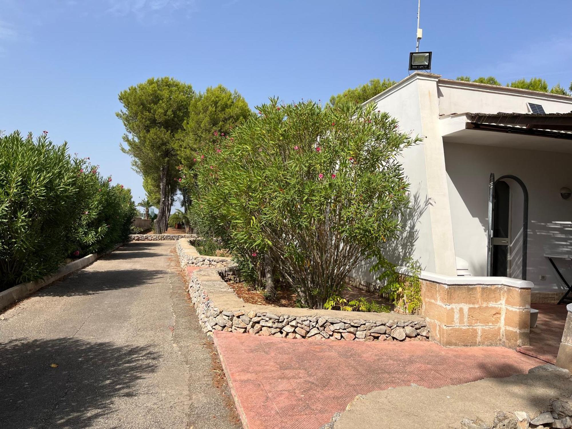 Casette Masseria La Camardia Sava Εξωτερικό φωτογραφία