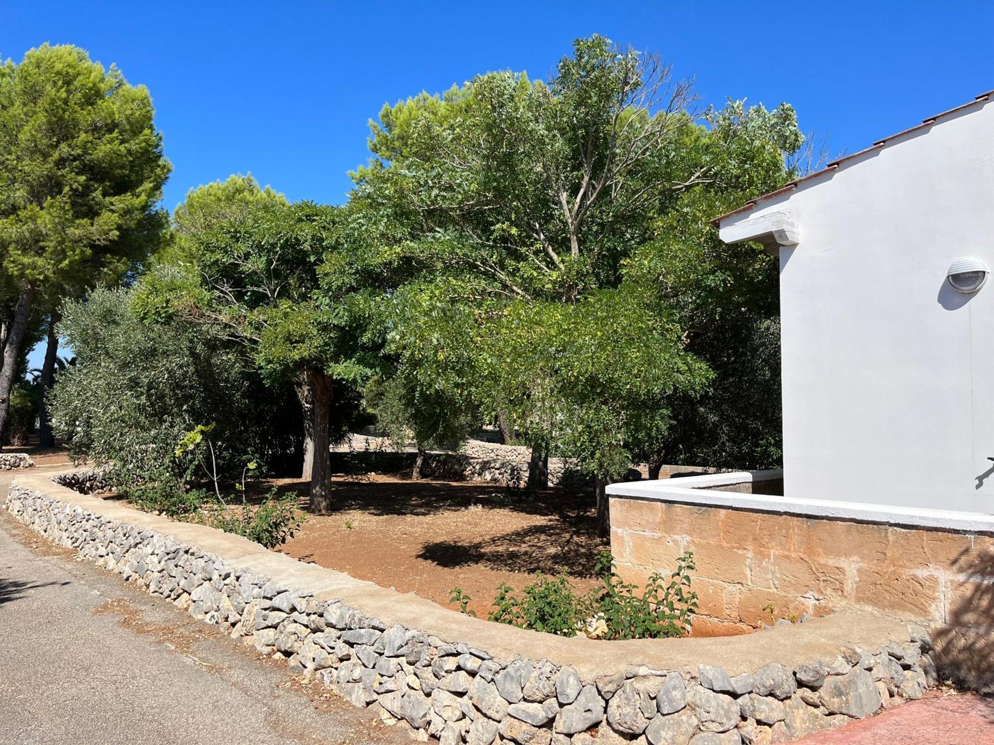 Casette Masseria La Camardia Sava Εξωτερικό φωτογραφία